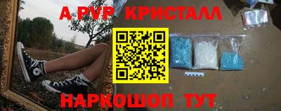 молекула духа Краснодар