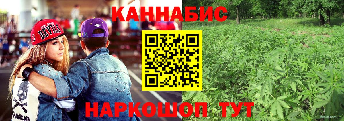 Шишки марихуана планчик  Бошки марихуана тримм  Вход с VPN  Шишки марихуана VHQ  Жуковский  Марихуана план 